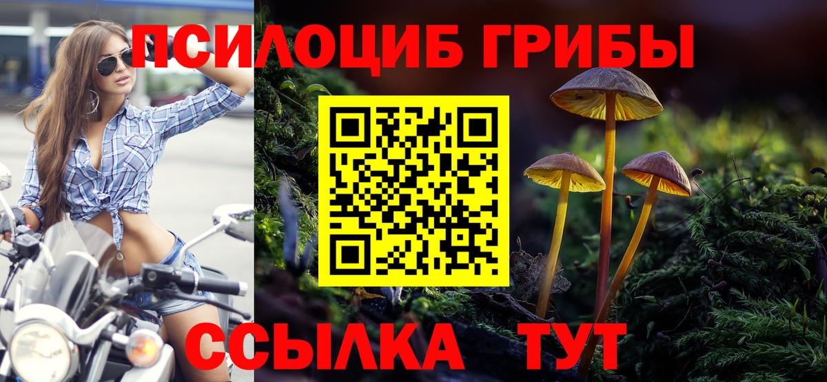 Псилоцибиновые грибы GOLDEN TEACHER  Вход с VPN  Псилоцибиновые грибы MAGIC MUSHROOMS  Вологда 