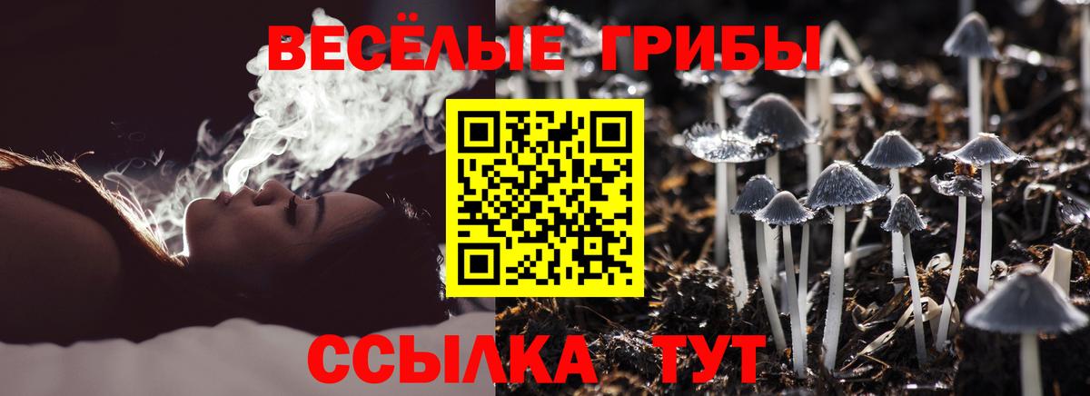 Галлюциногенные грибы мицелий Вологда