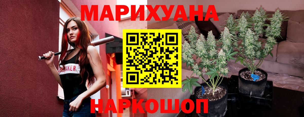 Бошки марихуана семена  Вход с VPN  Марихуана THC 21%  Вологда  Конопля сатива 